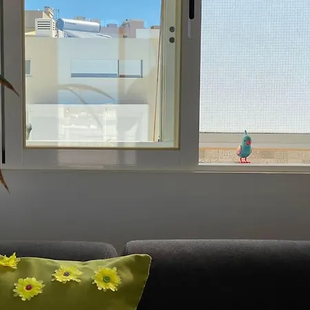 Appartement Superstar Terrace Faro