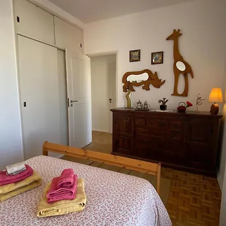 Superstar Terrace Faro