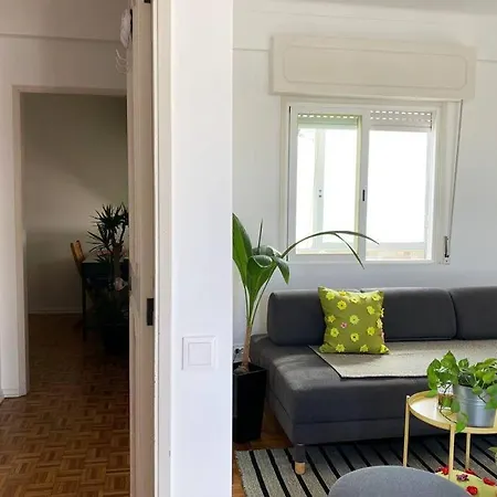 Superstar Terrace Faro