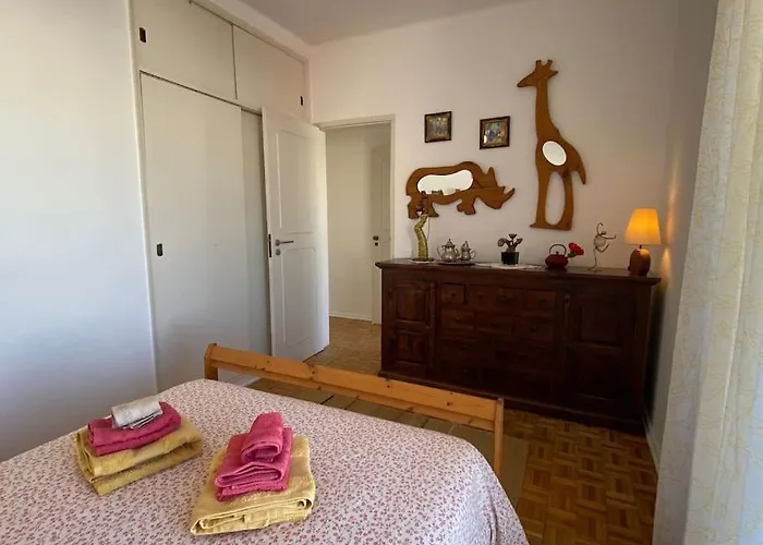 Superstar Terrace ファロ